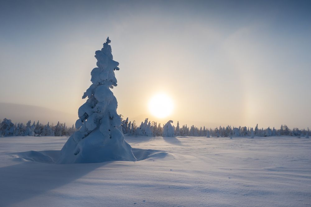 Photograph by Алёна Ивочкина