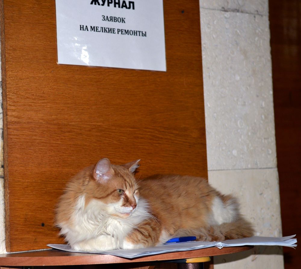 Photograph by Aleksander Perevolotsky