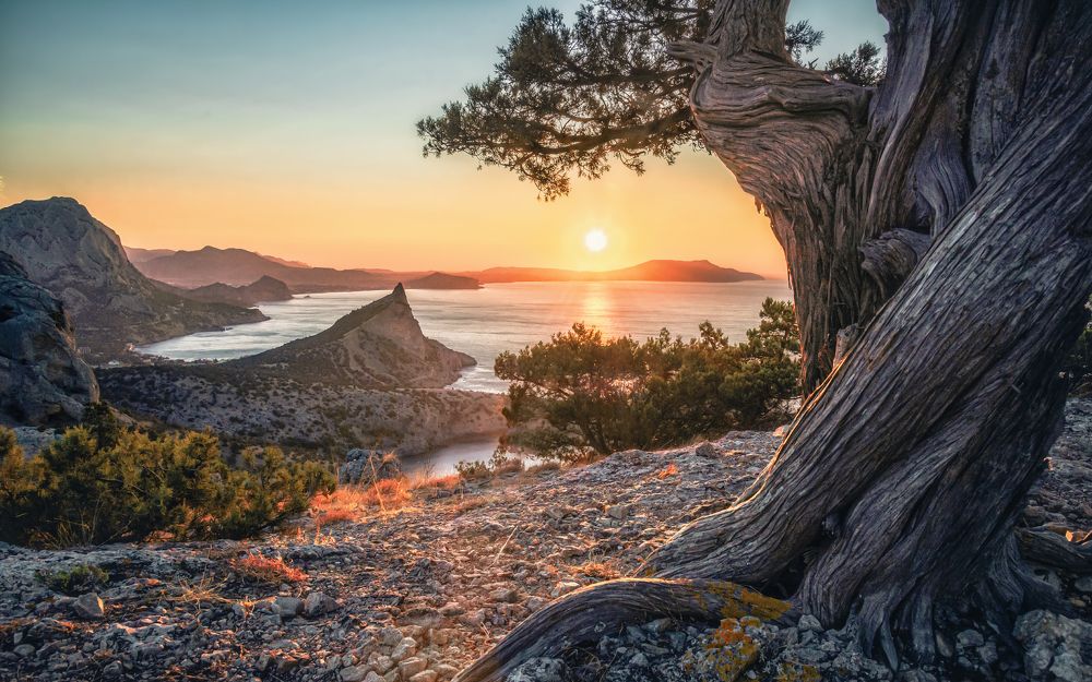 Встречая утро в Новом Свете