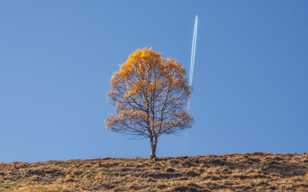 Осенний рейс