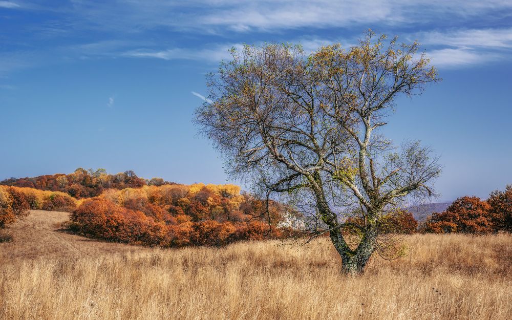 Золото Ахмет-горы