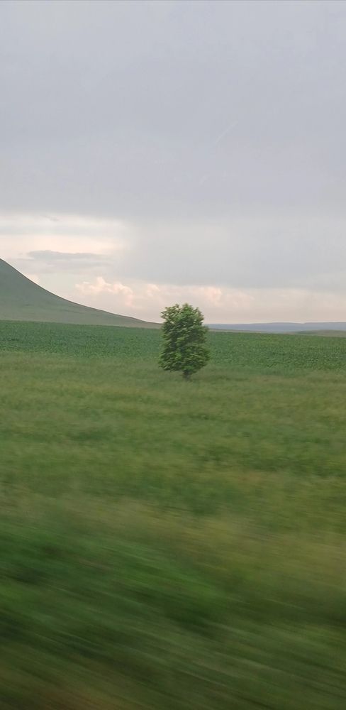 Photograph by Nasima Timcenko