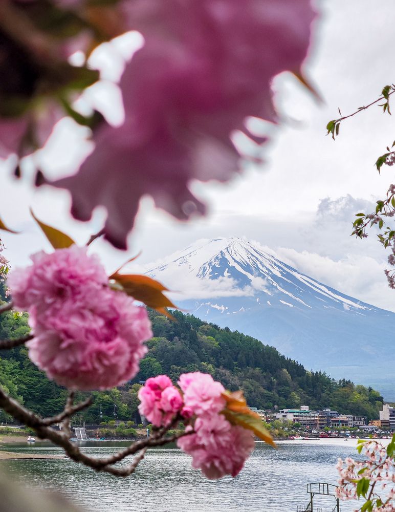 Photograph by Андрей Ионов