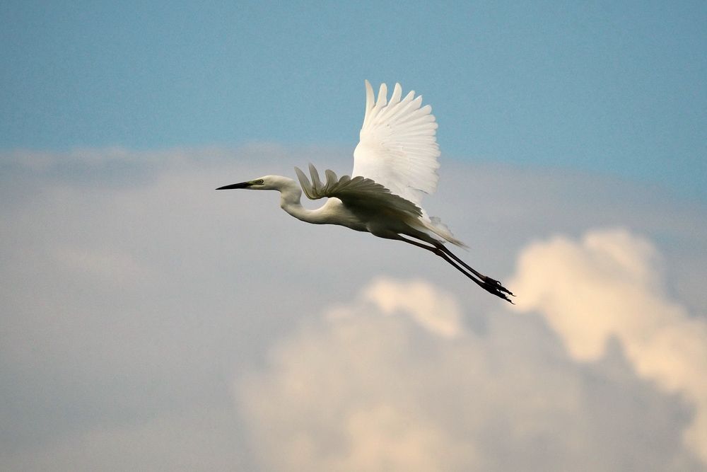 Photograph by Vitalijs Kopa