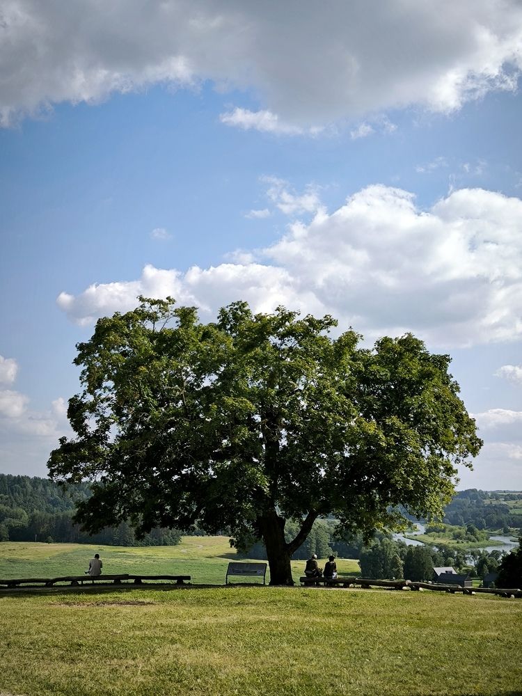 Photograph by Ksenija Bartoško