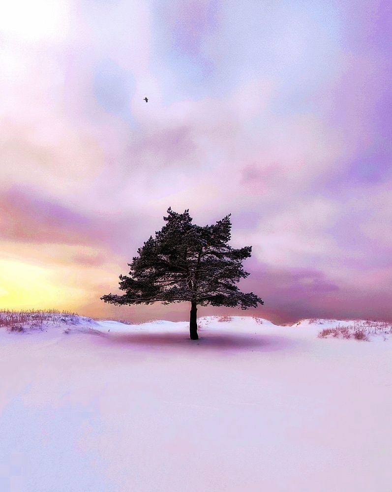 Фотография автора Ekaterina Sapezhinskaya