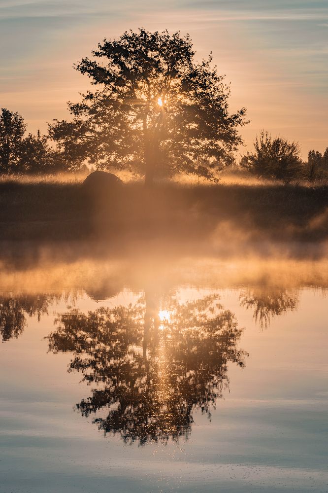 Photograph by Баранов Владимир