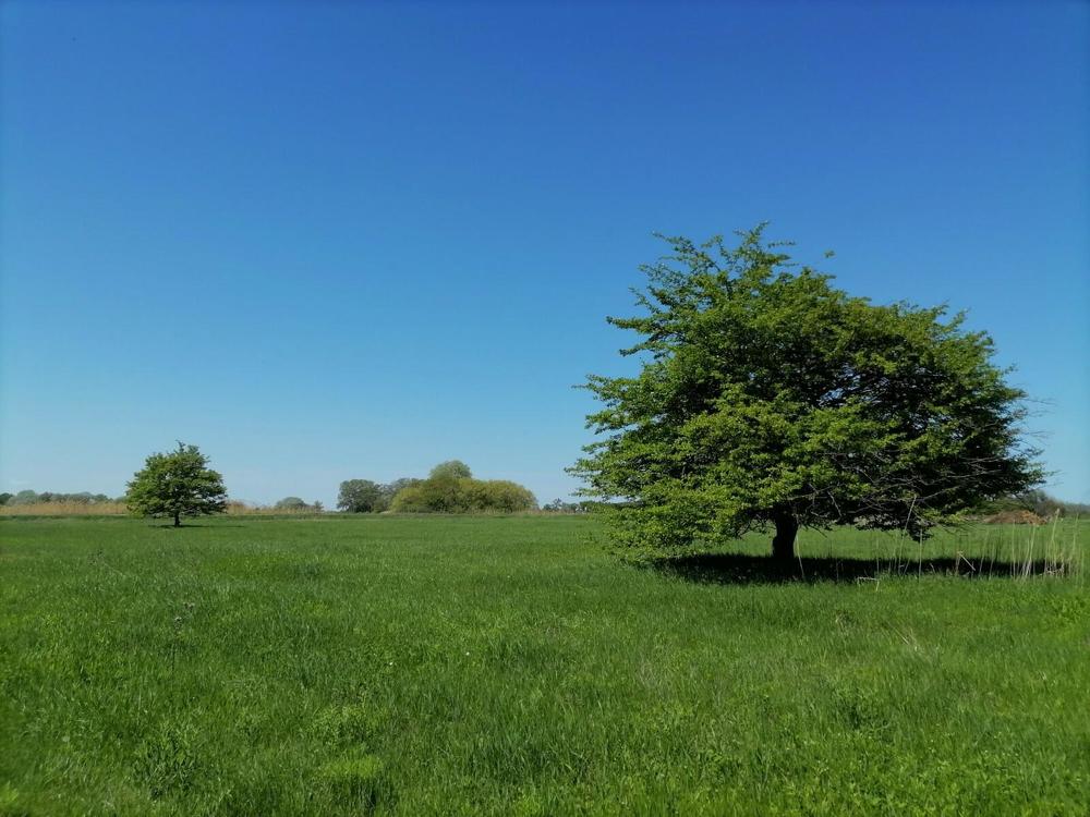 Photograph by Наталья