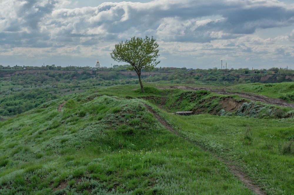 Photograph by Забудская Наталья