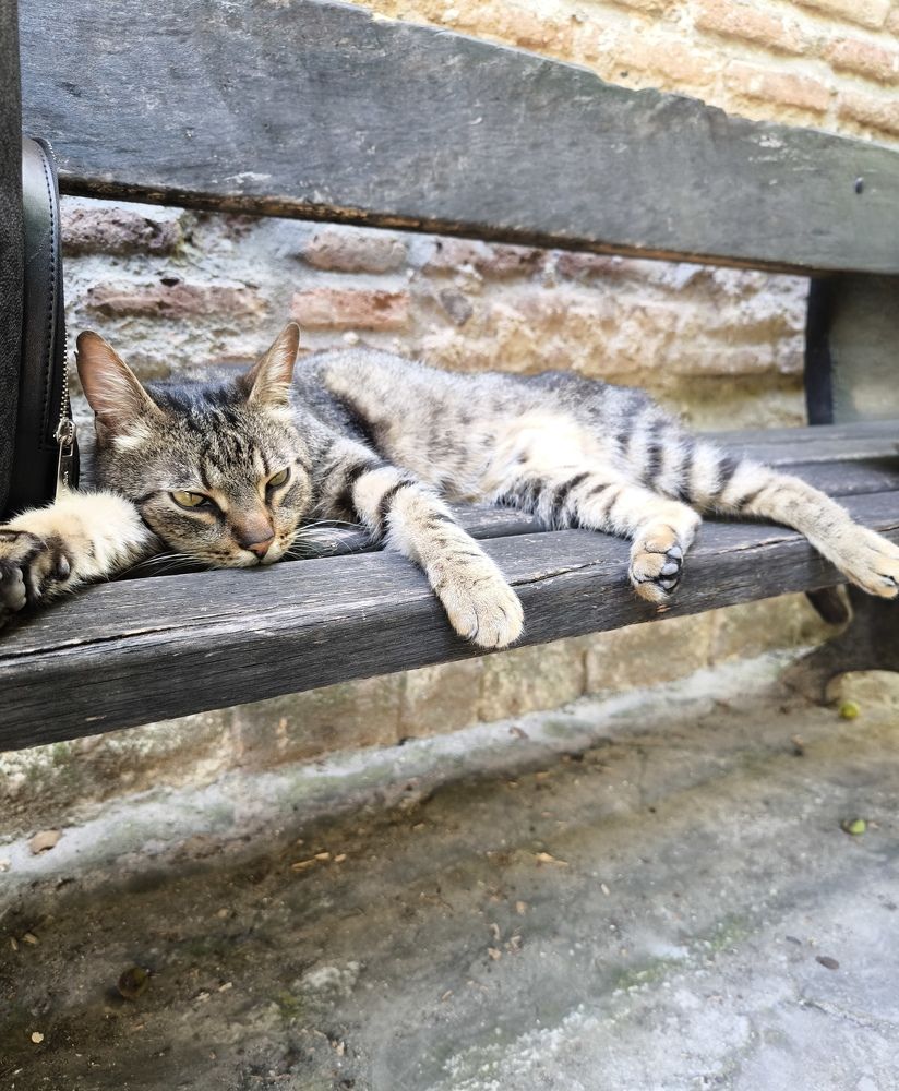 Фотография автора Ekaterina Sapezhinskaya