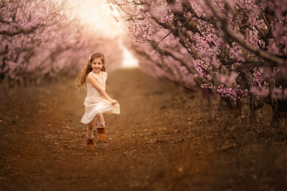 Photograph by Hamutal Avioz