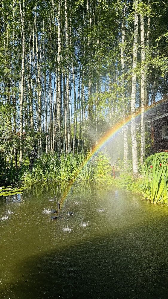 Photograph by Светлана Правдухина