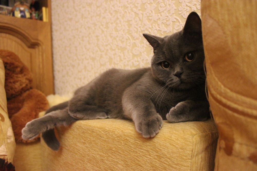 Полежу немного