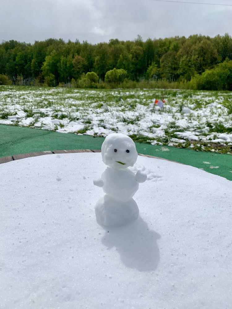 майский снег