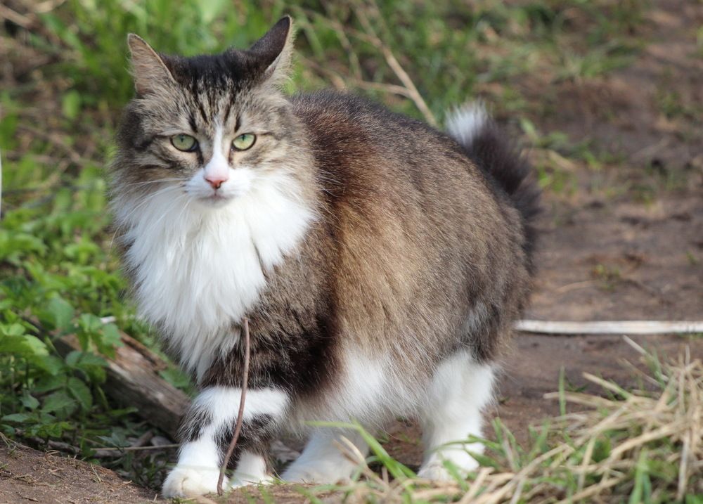 Photograph by Елена Терскова