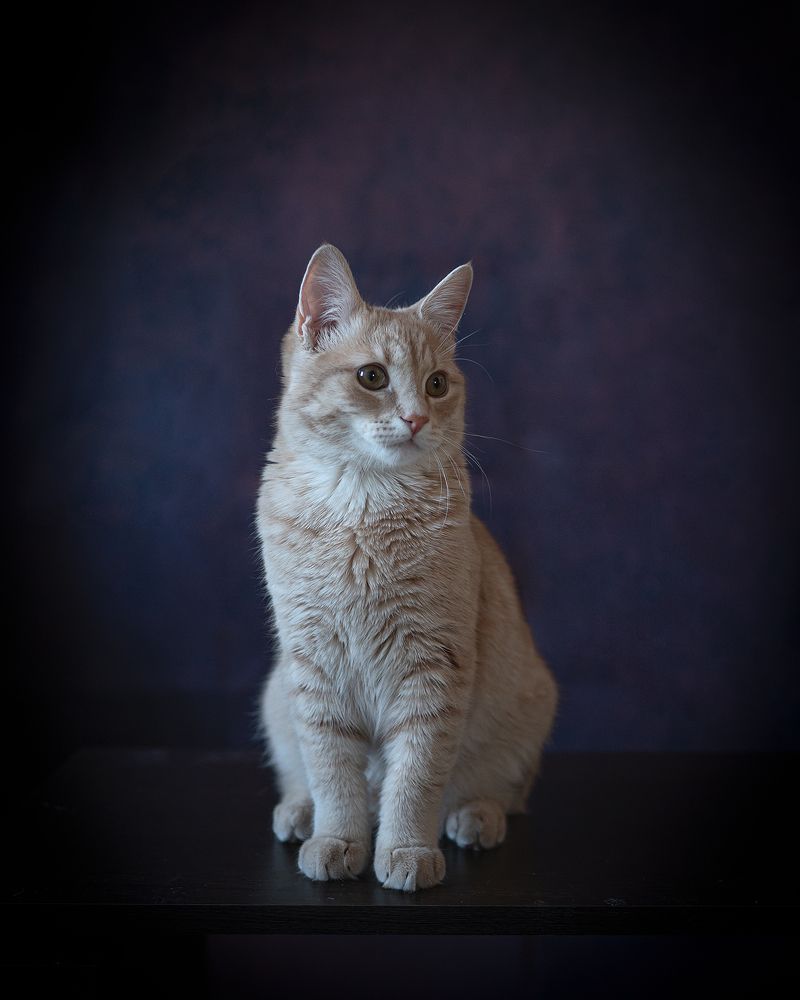 Photograph by Евгений Мальков