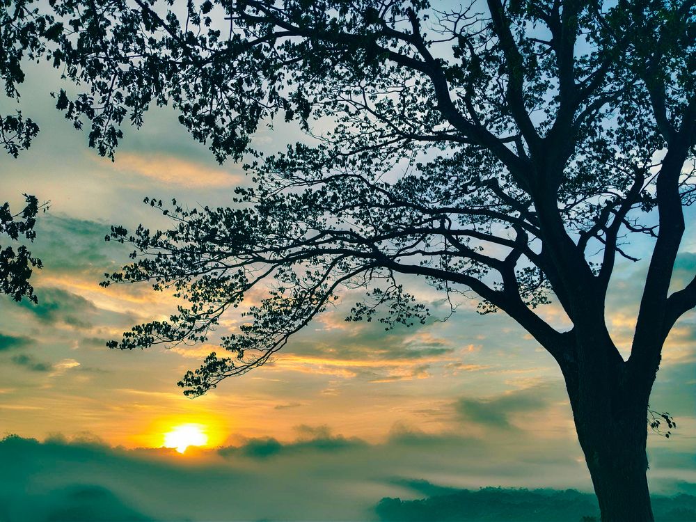 Photograph by Sumitava Chowdhury