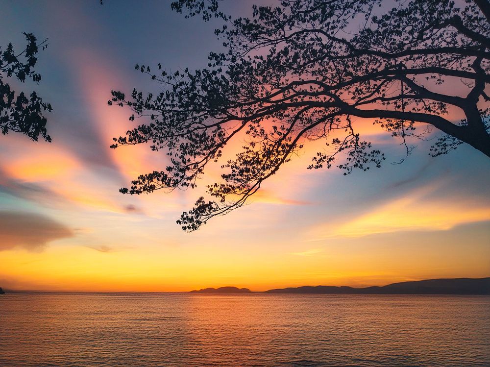 Photograph by Sumitava Chowdhury