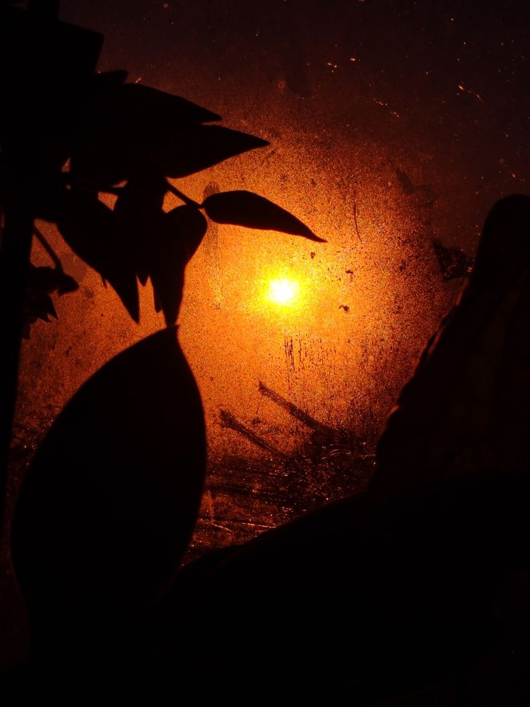 Photograph by Людмила Сарыцина