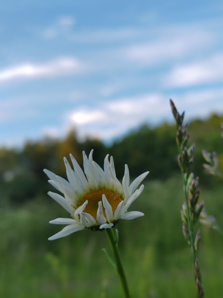 Photograph by Людмила Сарыцина
