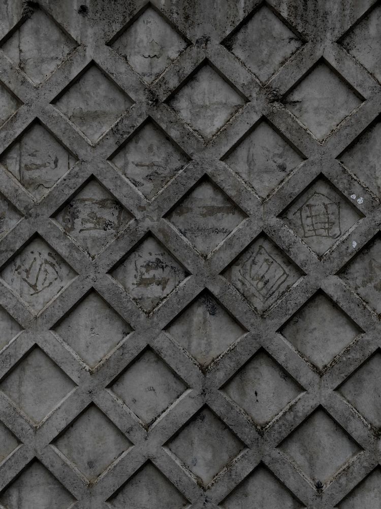 Photograph by Людмила Сарыцина