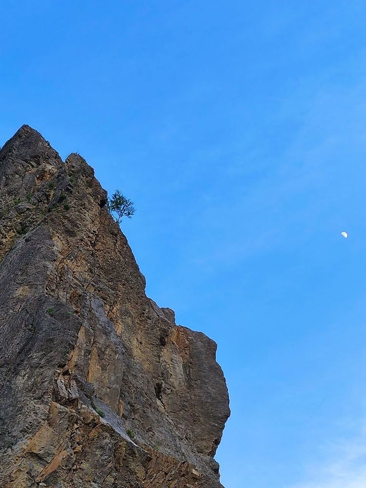 Photograph by Юлия Холомцева