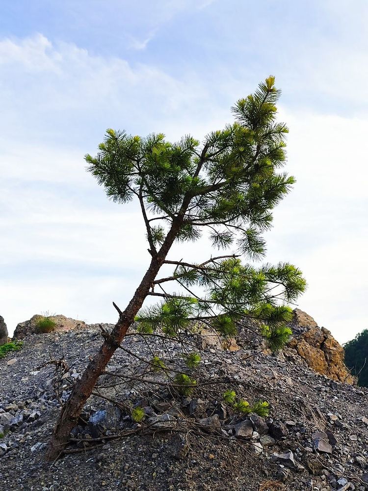 Photograph by Юлия Холомцева