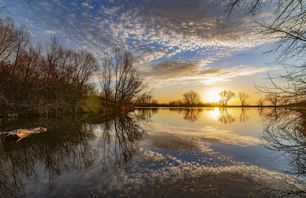 Photograph by Алексей Мякота