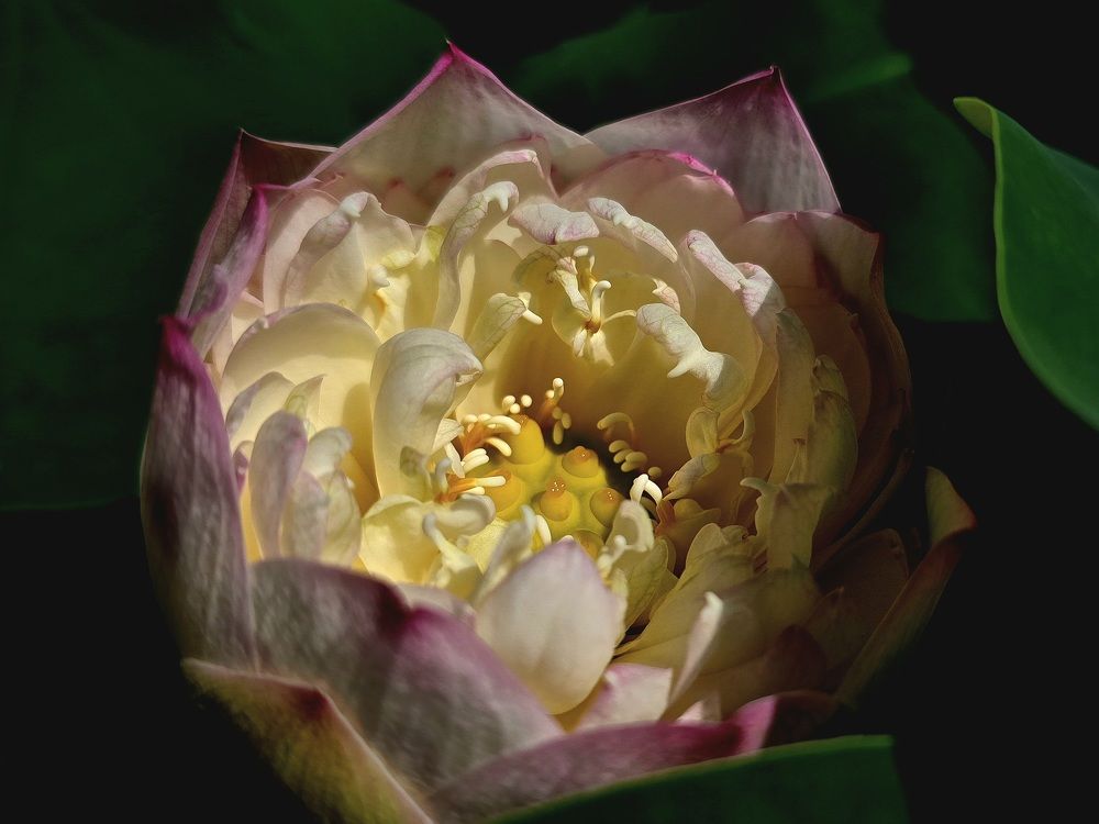 Photograph by Анна Семенова