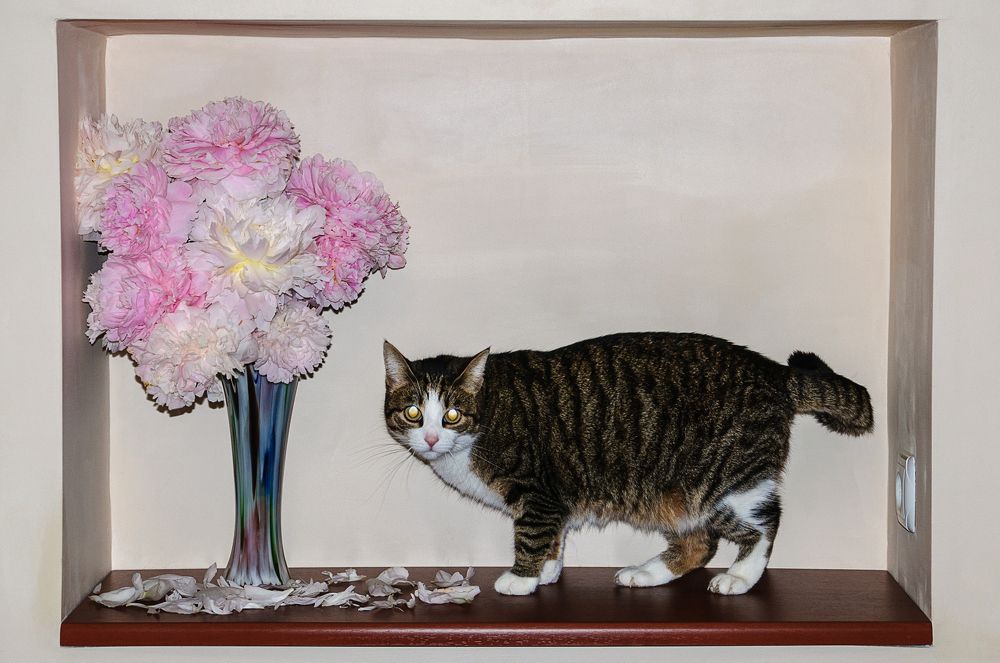 Photograph by Александр Поцелуев