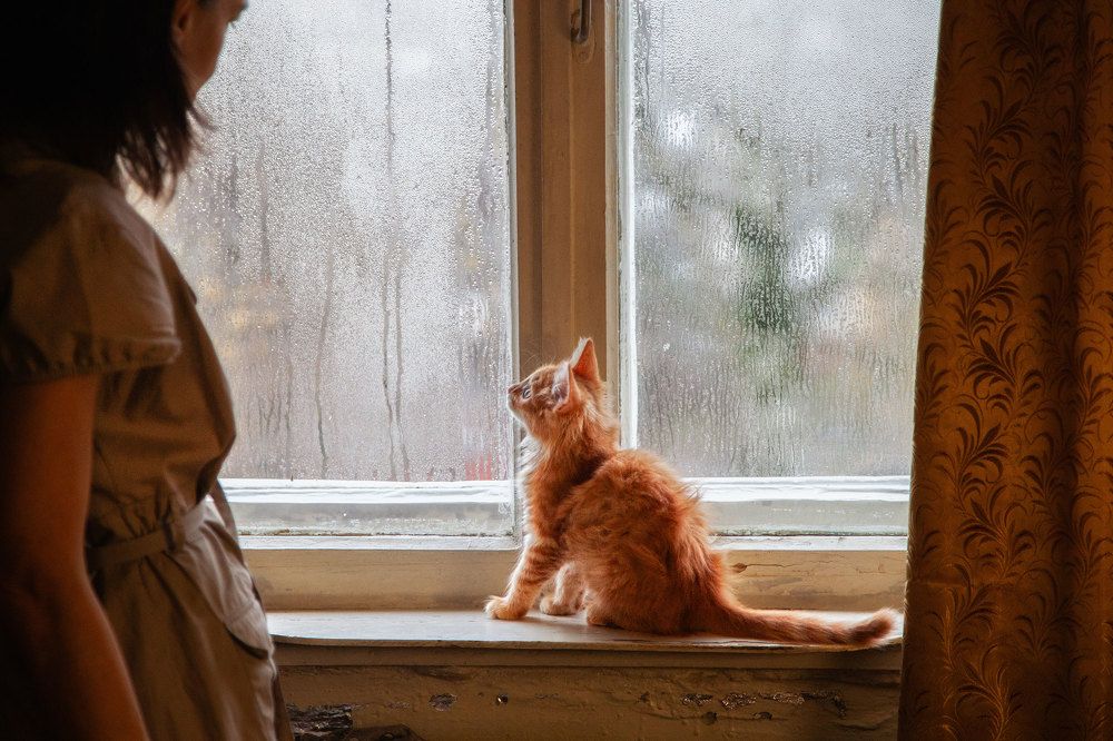 Photograph by Сандра