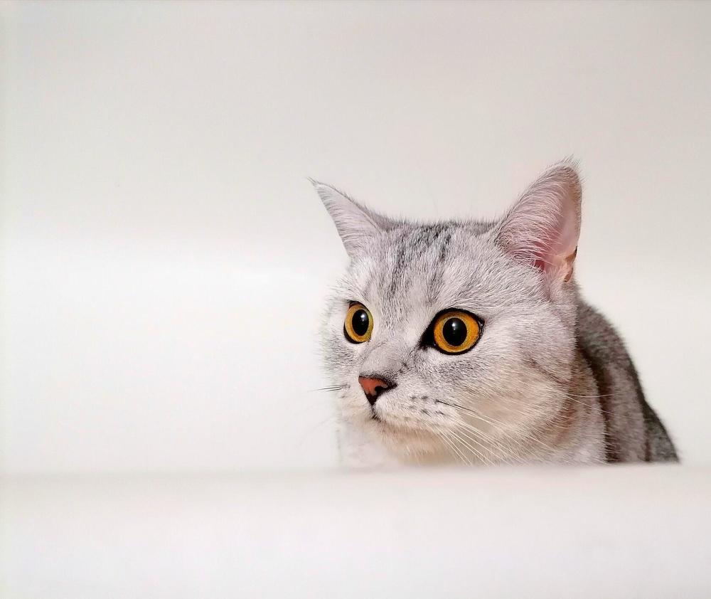 Photograph by Наталья