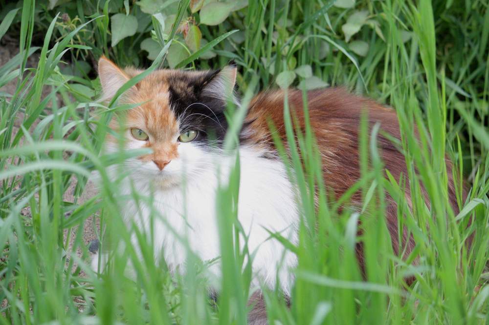 Photograph by Наталья