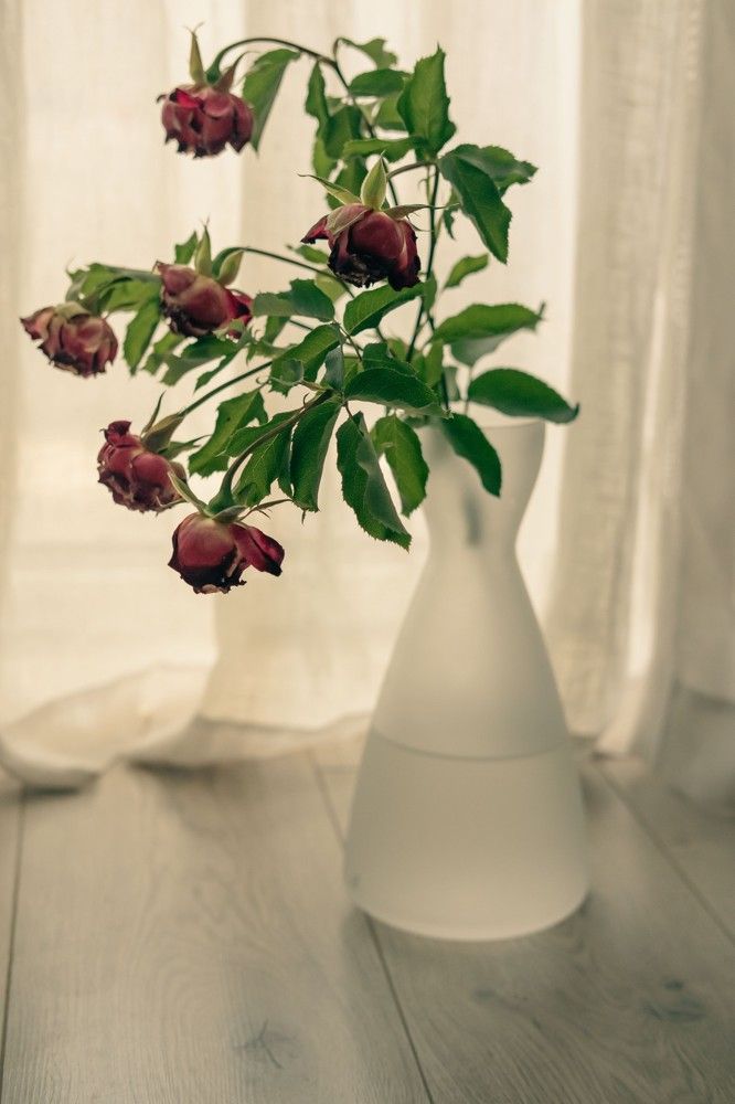 Photograph by Янина Найденцева