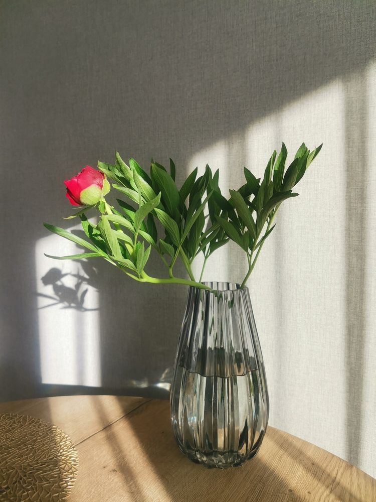 Photograph by Янина Найденцева