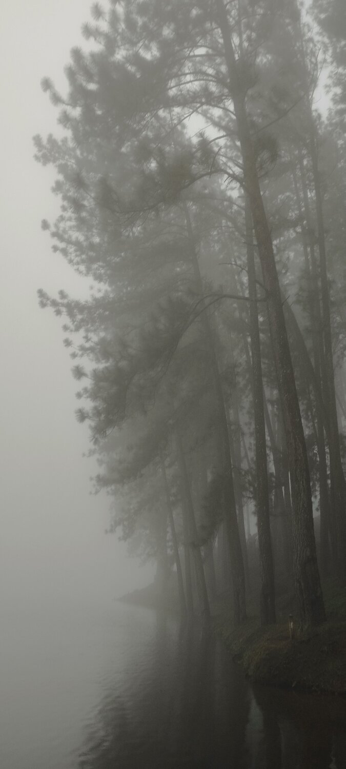 Photo #10779192