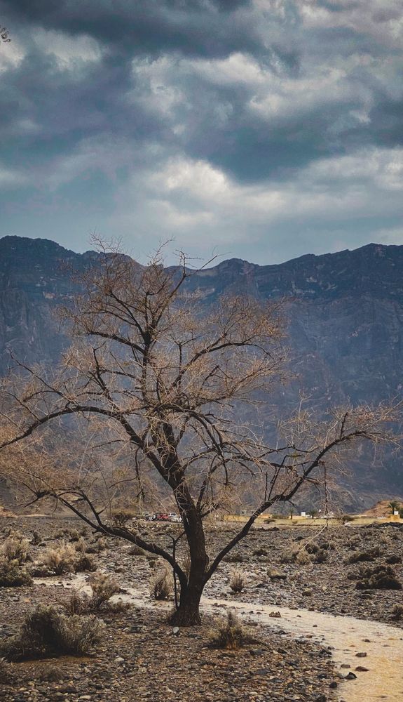 Photograph by Waleed Yousuf Alwahaibi