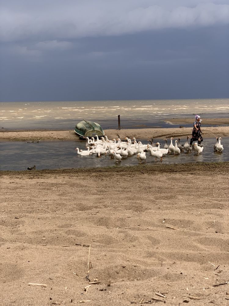 Photograph by гульназ замалеева