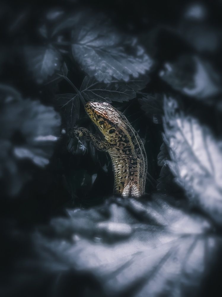 Photograph by Yuliya Karpova