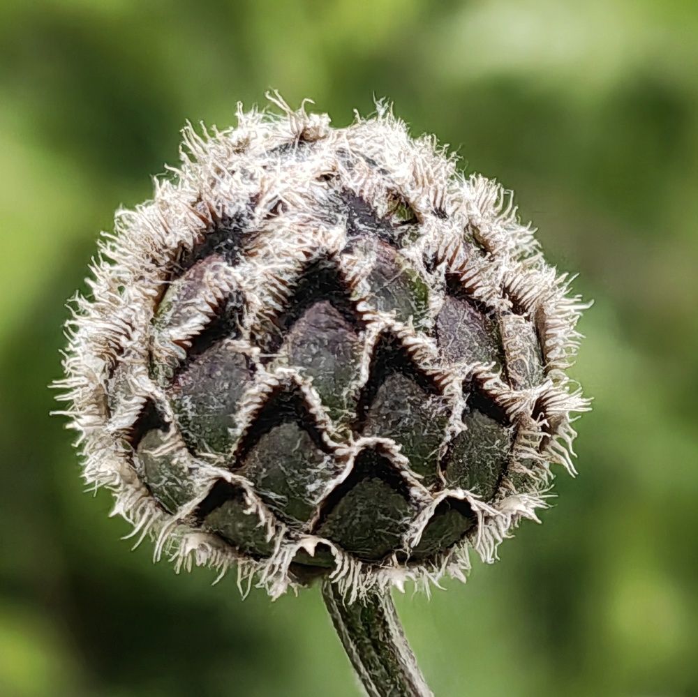 Photograph by Юрий Полушин