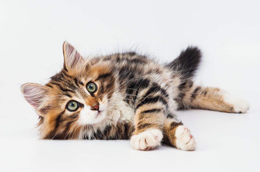 Photograph by Мария Мифтахова