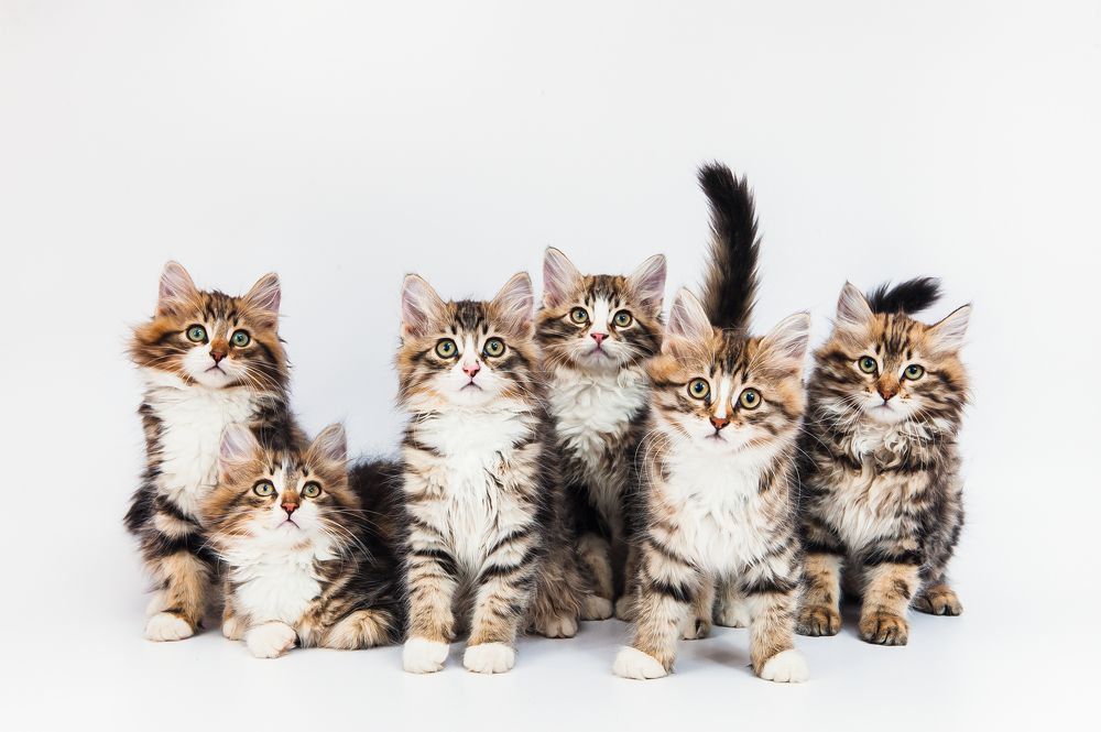 Photograph by Мария Мифтахова