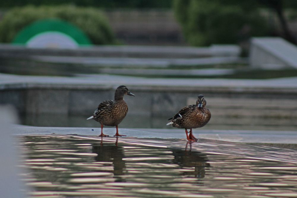 Photograph by Andrew Solovev