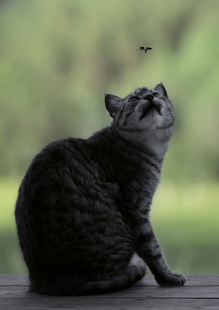 Photograph by Баранов Олег