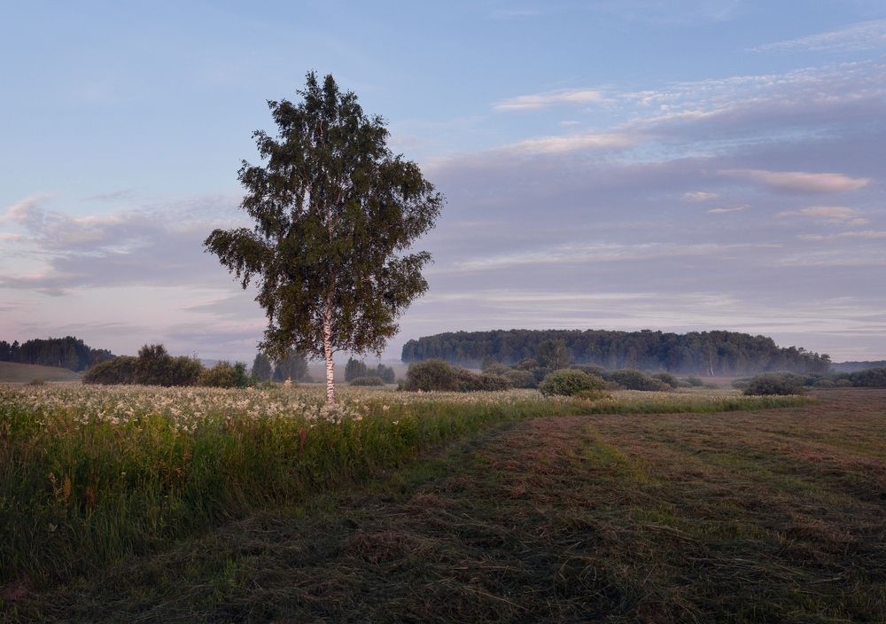 Photograph by Баранов Олег