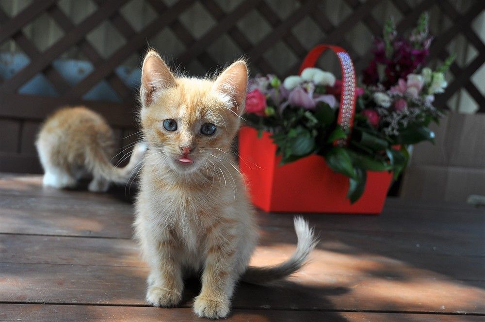 Photograph by Лариса Стрекулева