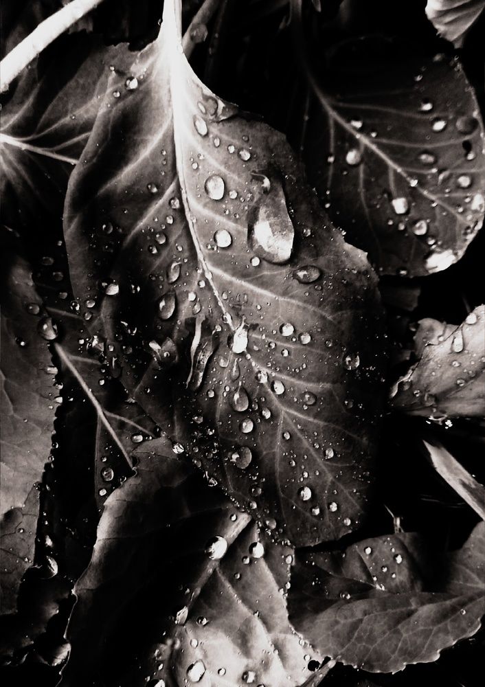 Photograph by Евгения Трубкина