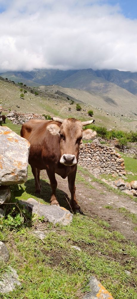 Photograph by Наталия Моргунова