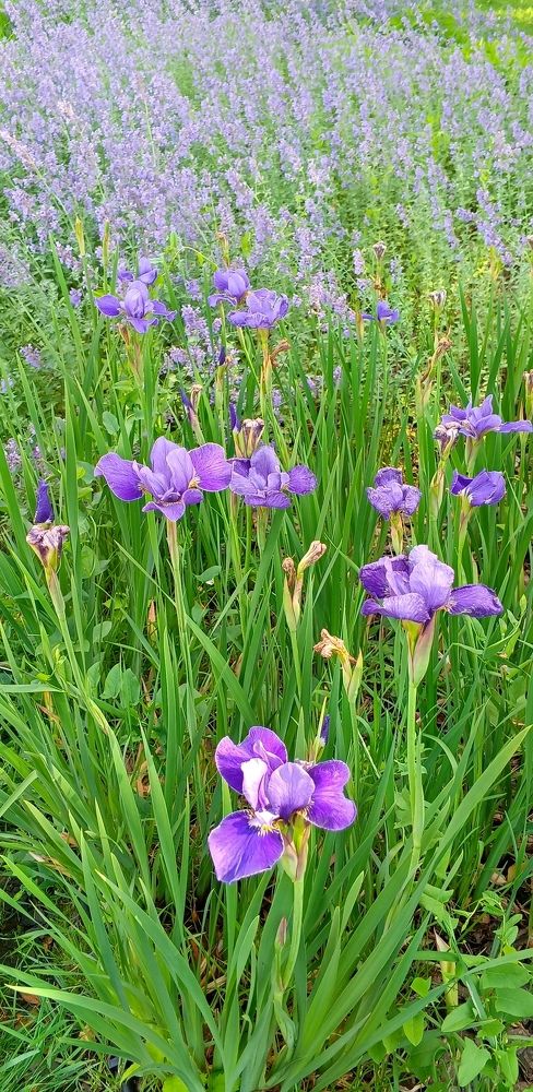 Photograph by Наталия Моргунова