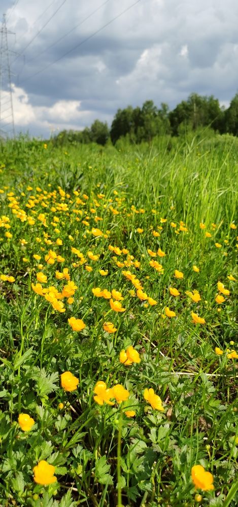 Photograph by Наталия Моргунова